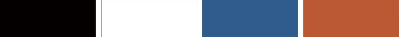 image-logo-color