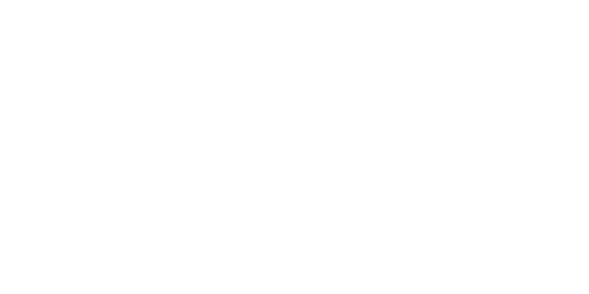wellice-logo